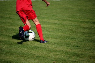 九游娱乐登录-篮球运动员心理韧性培养及心理干预体系，篮球运动员的心理训练