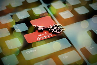 九游网页版入口-美国队赛制透视:团体赛制中的关键战术与应对策略,美国队内训练赛